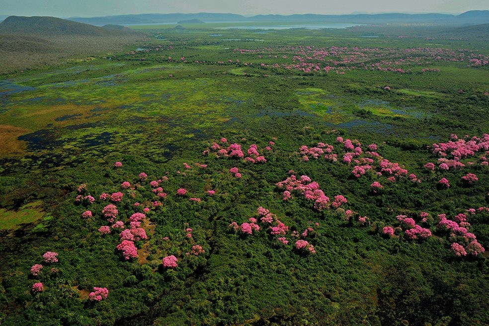 Fotoshow Brasilien: Naturparadies am Scheideweg